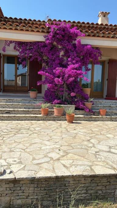 Villa Avec Jardin Au Calme A 7 Min De Cassis Roquefort-la-Bédoule Zewnętrze zdjęcie